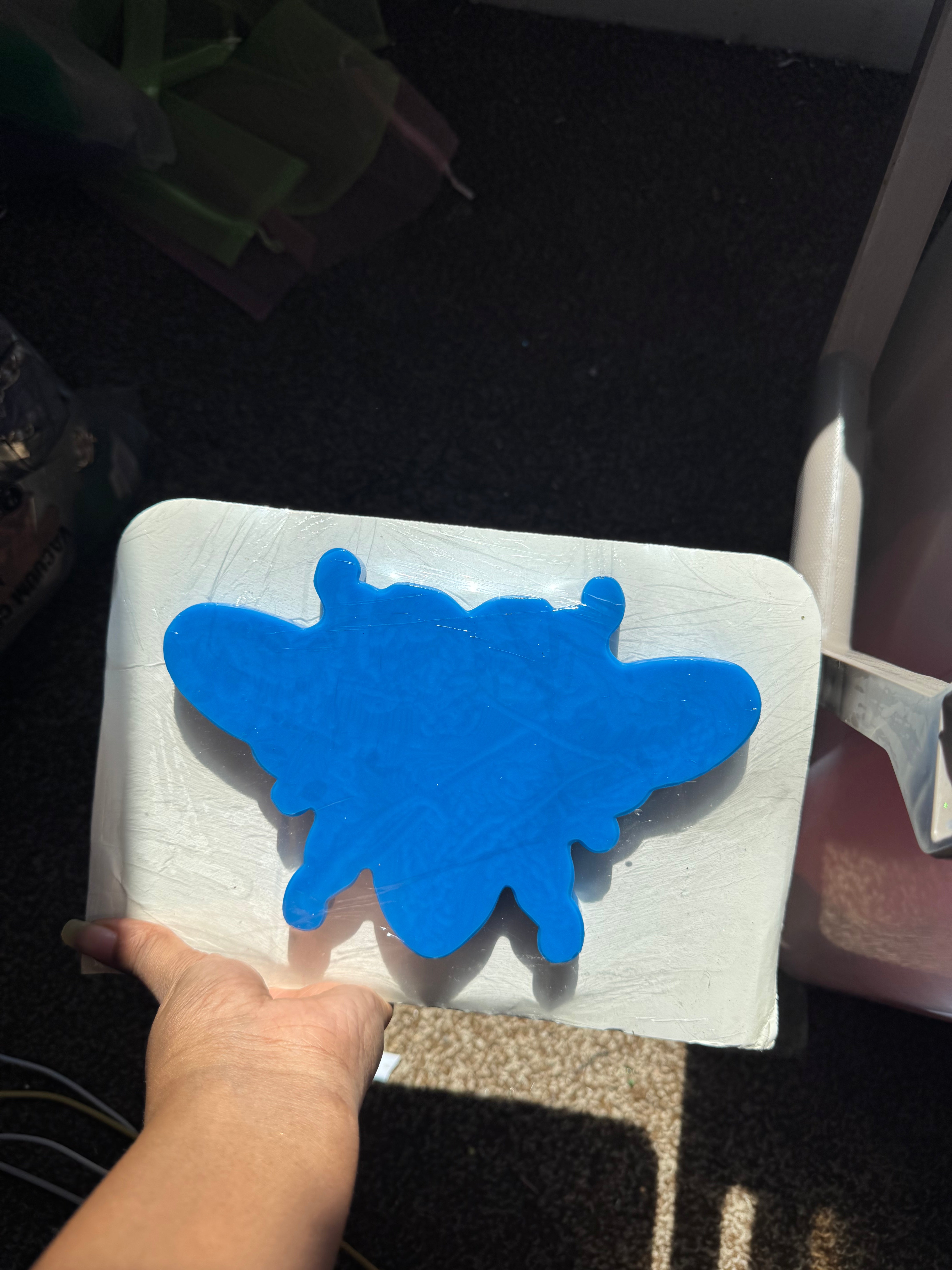 Sandreen butterfly mold